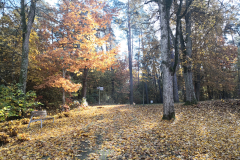Teren szpitala jesienią. Las, po lewej stronie stoi ławeczka. Drzewa mają różnokolorowe liście, ziemia pokryta jest w większości pomarańczowymi liśćmi. W oddali  umieszczony jest słupek, który opisuje poszczególne dalsze miejsca.
