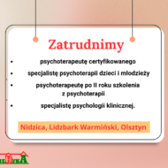 Więcej o: Oferta pracy w Nidzicy, Lidzbarku Warmińskim, Olsztynie